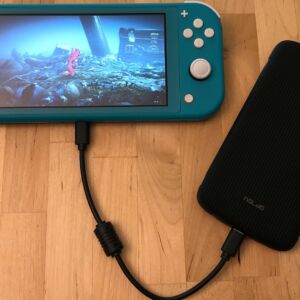 SP QP75 PD with Nintendo Switch Lite SP QP75 PD with Nintendo Switch Lite